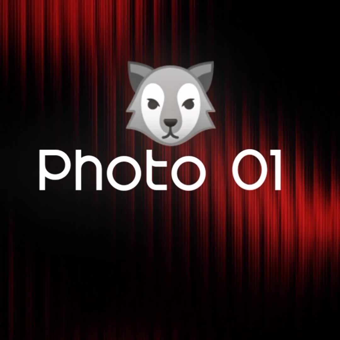 @๐๐๐๐๐๐ข ๐๐๐๐๐๐๐๐