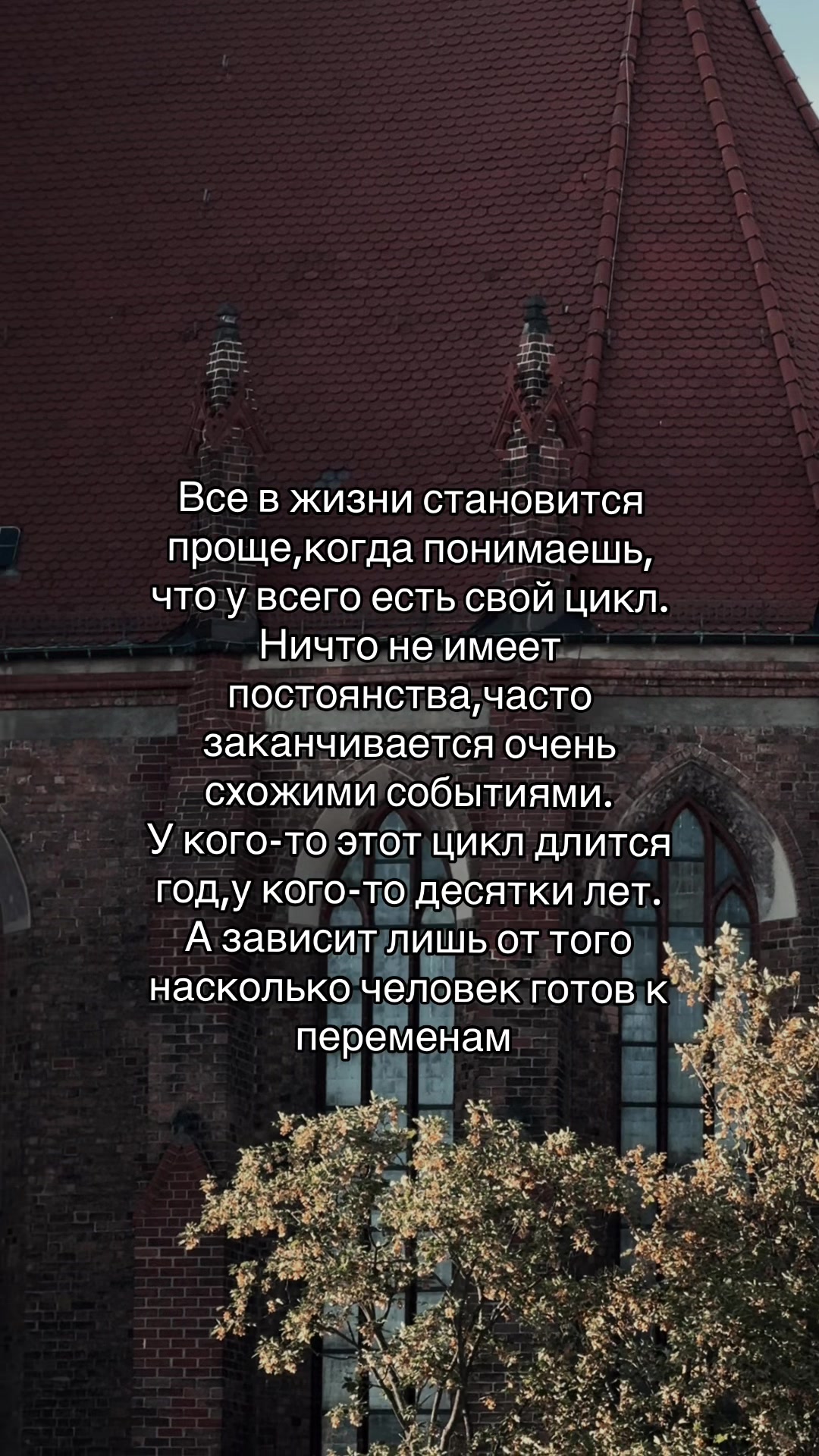 @🐉👁️ Гримуар Роуз 🩻🔮