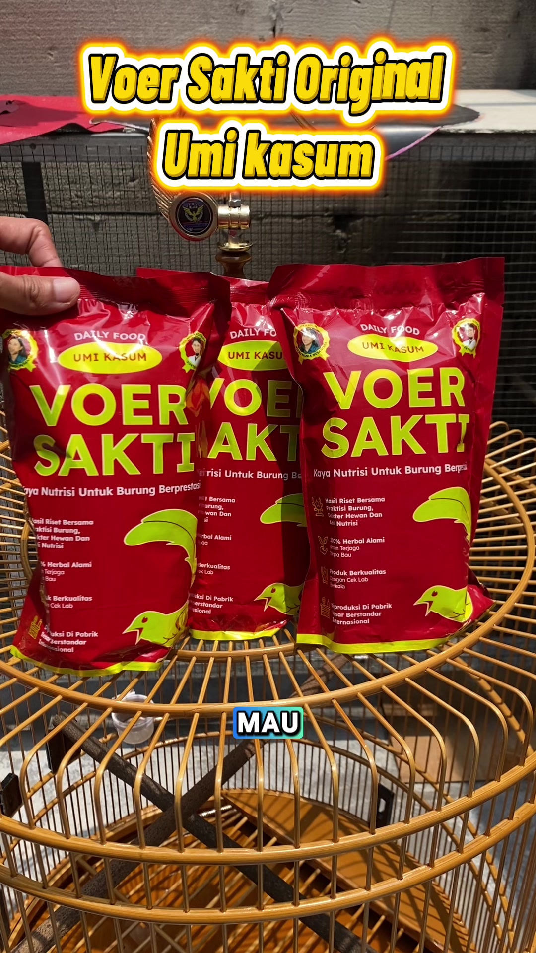 @kicau mart