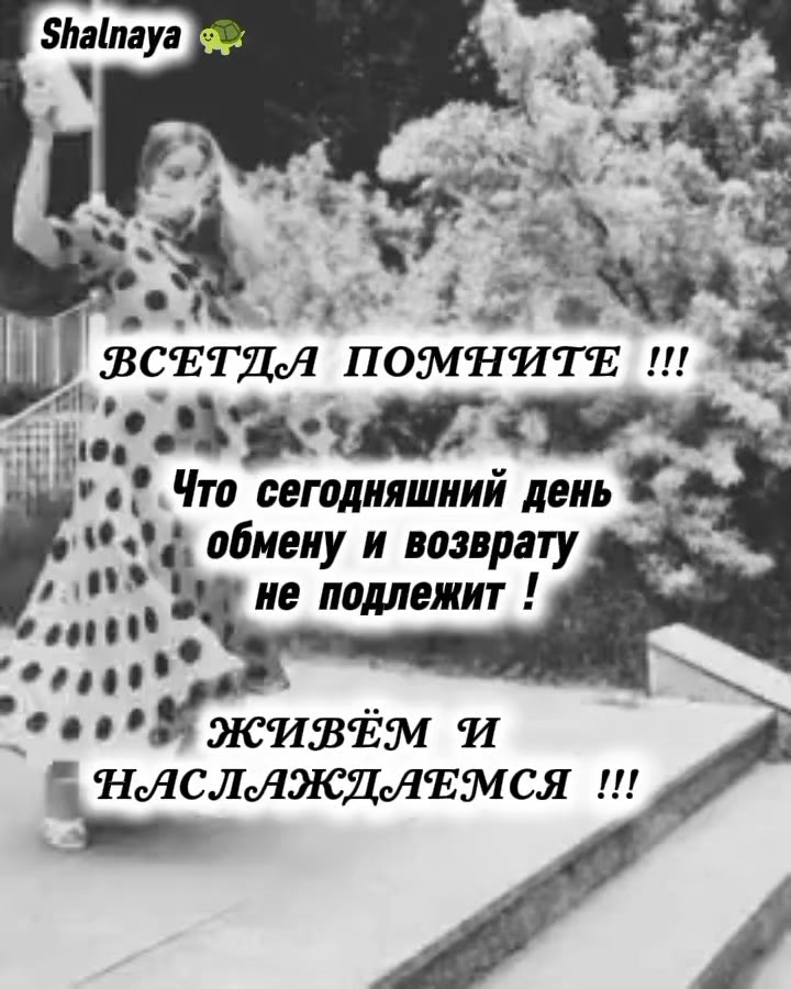 @Шальная 🐢🐢🐢