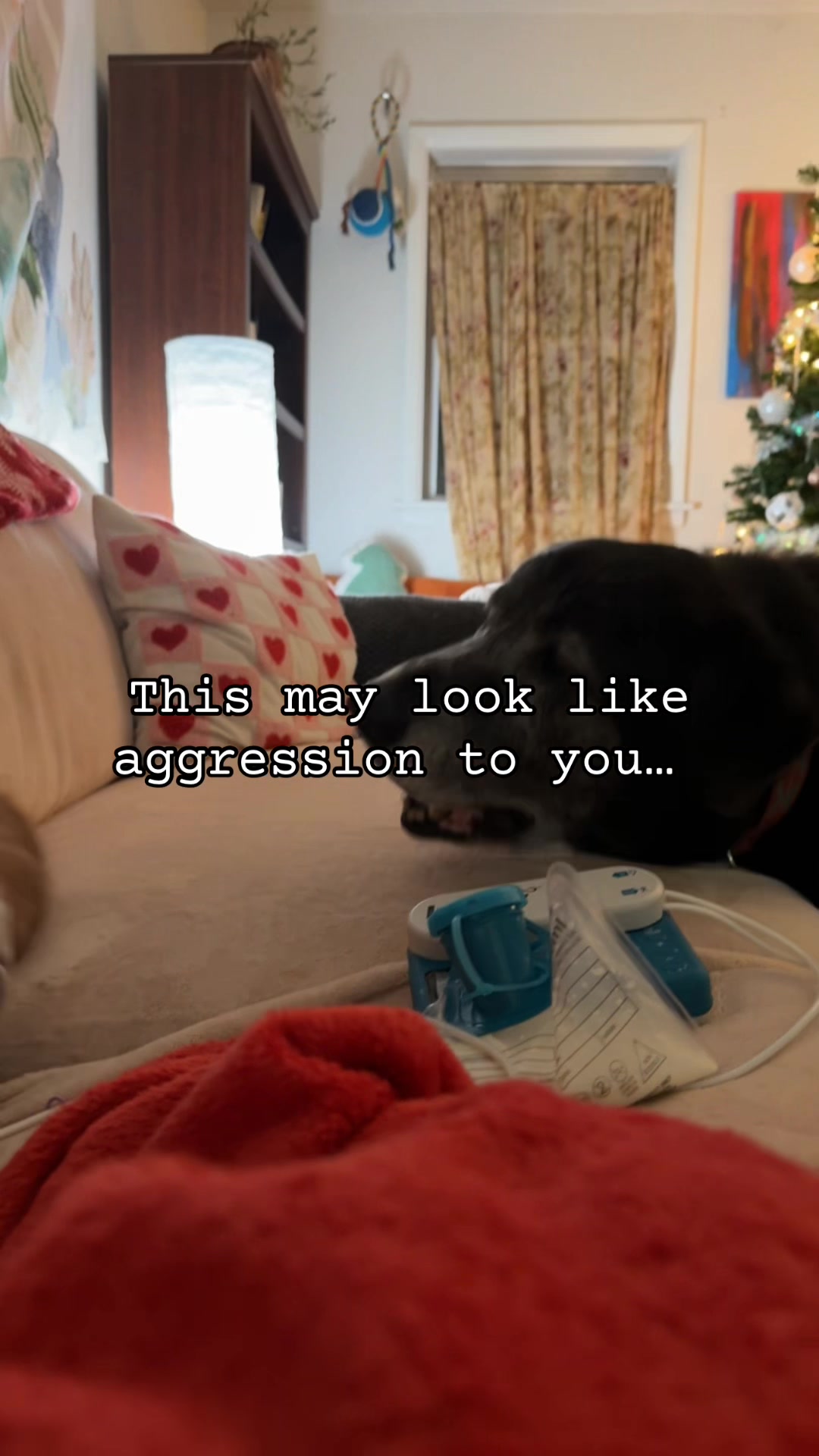 @Chloe Lynn