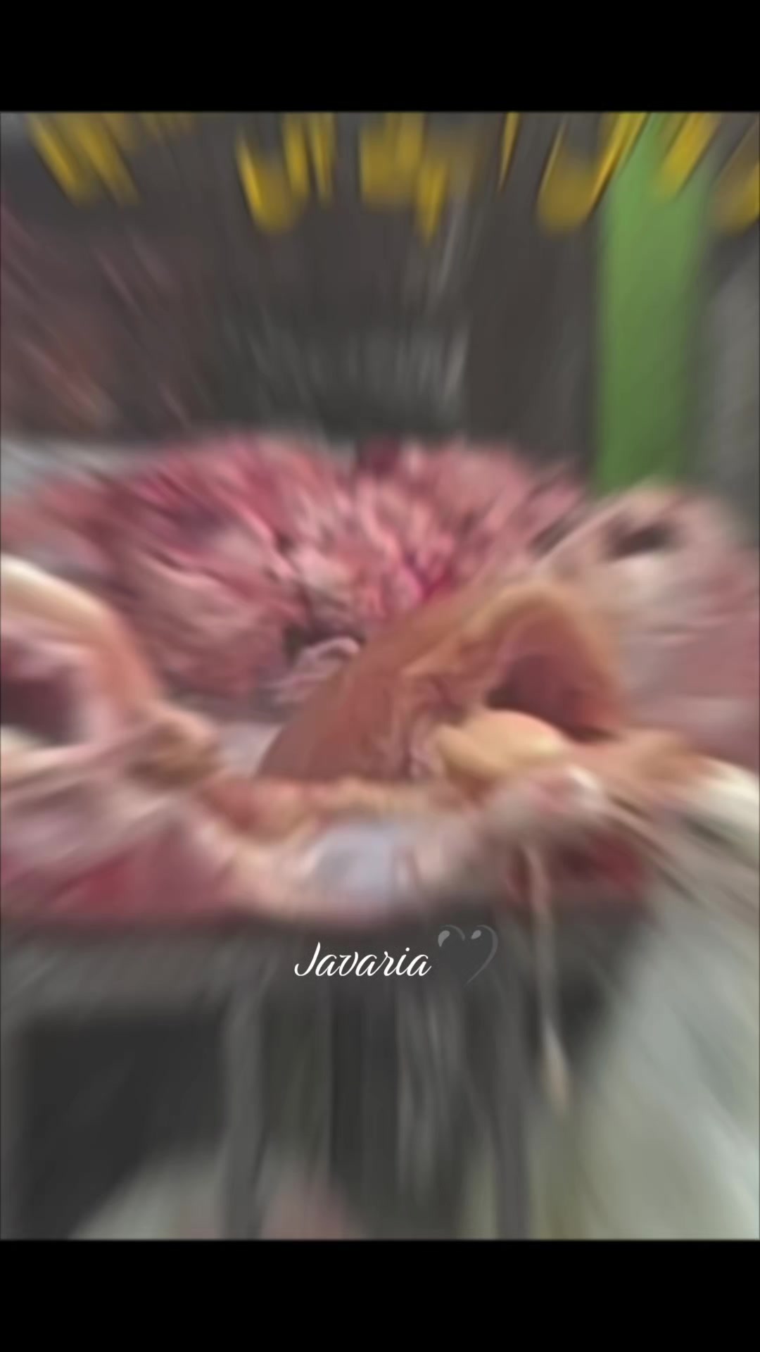 @Dr. Javaria