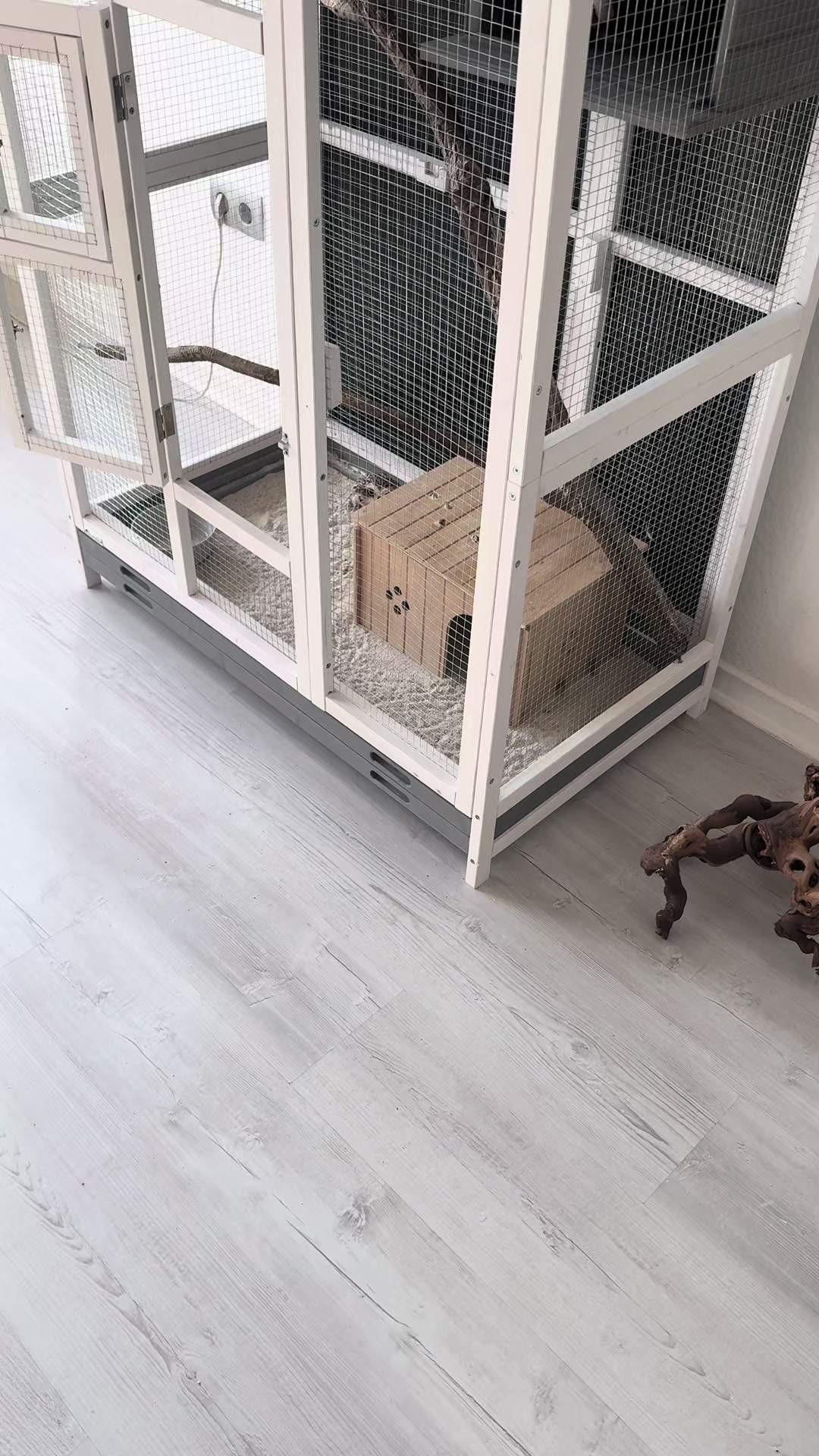@Kreischhuhn Karma 🦉