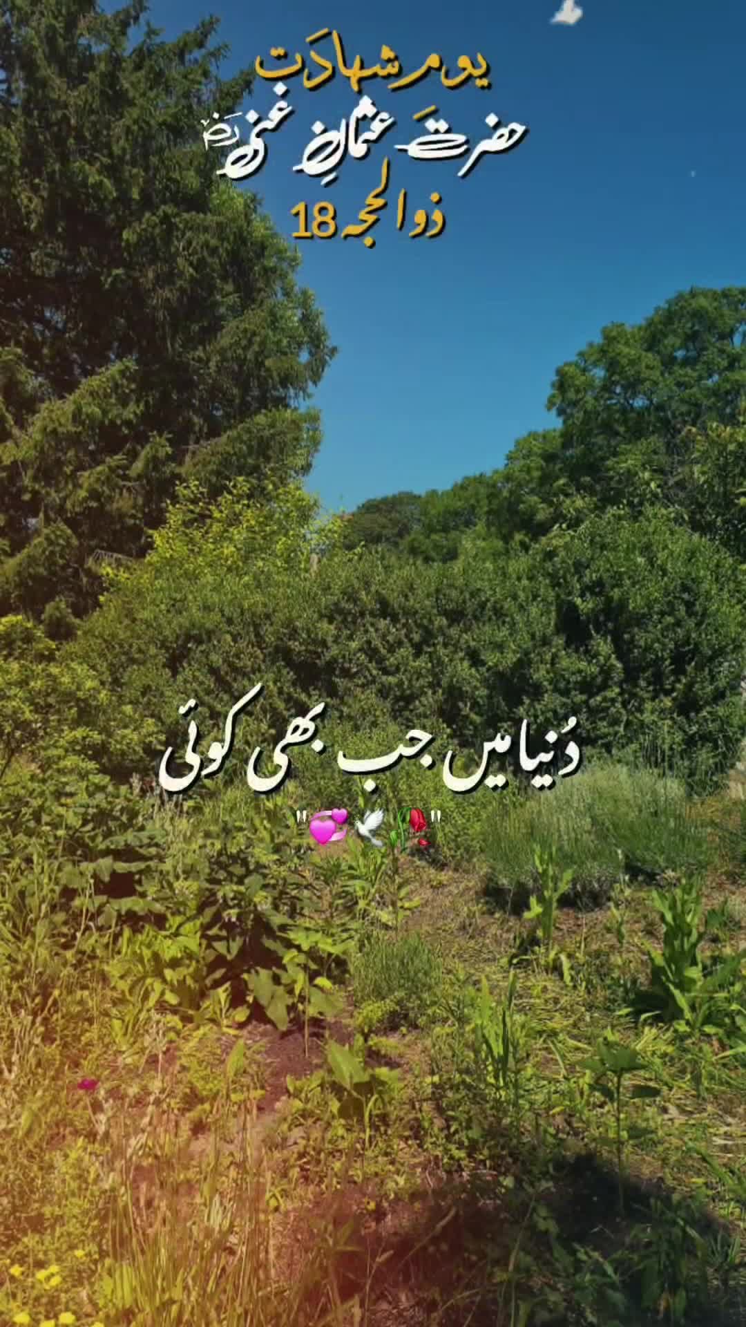 @alia malik