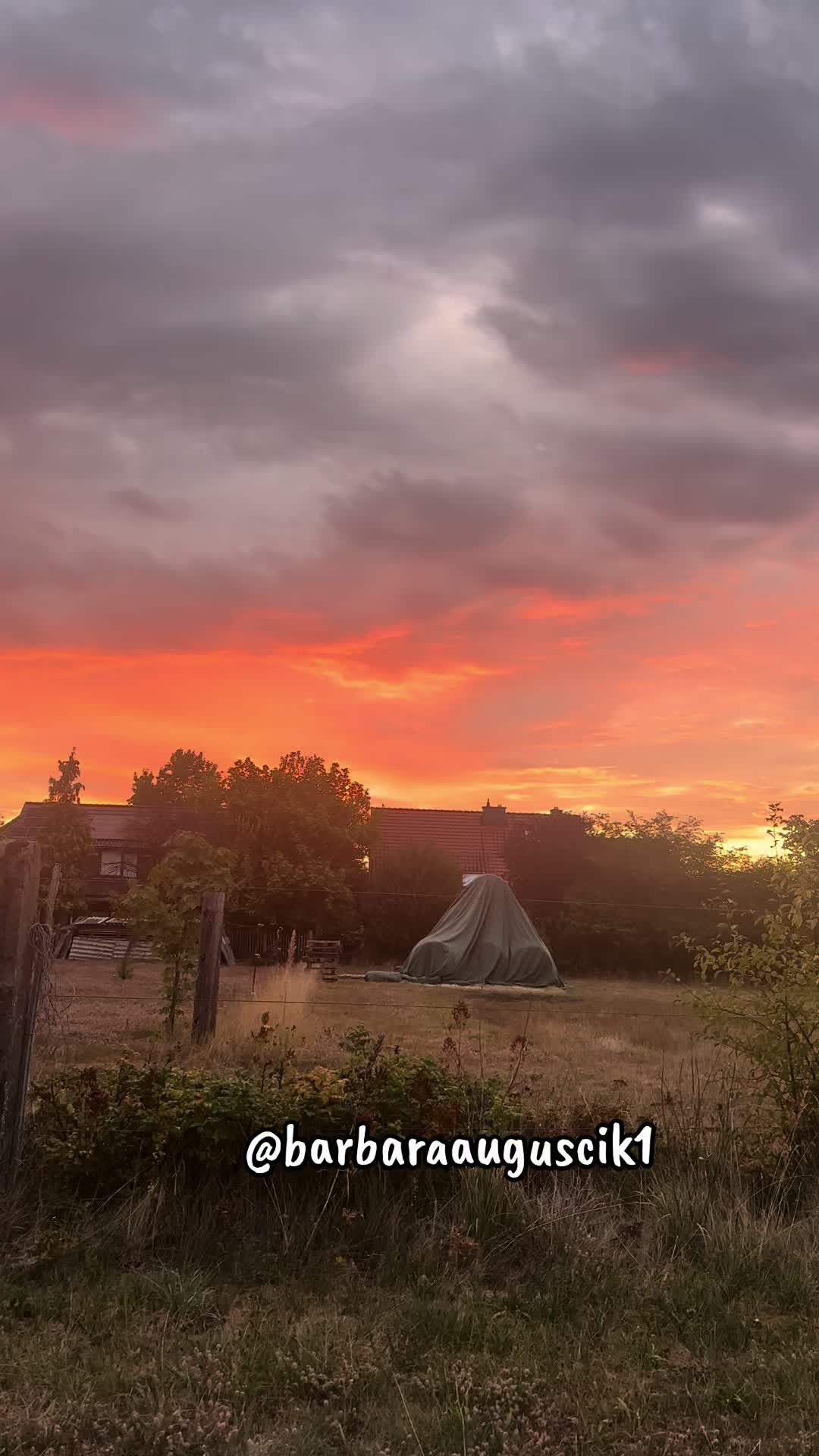 @barbaraauguscik1🇵🇱🇩🇪