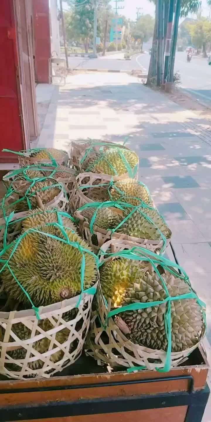 @Kenzhi Durian Tuban