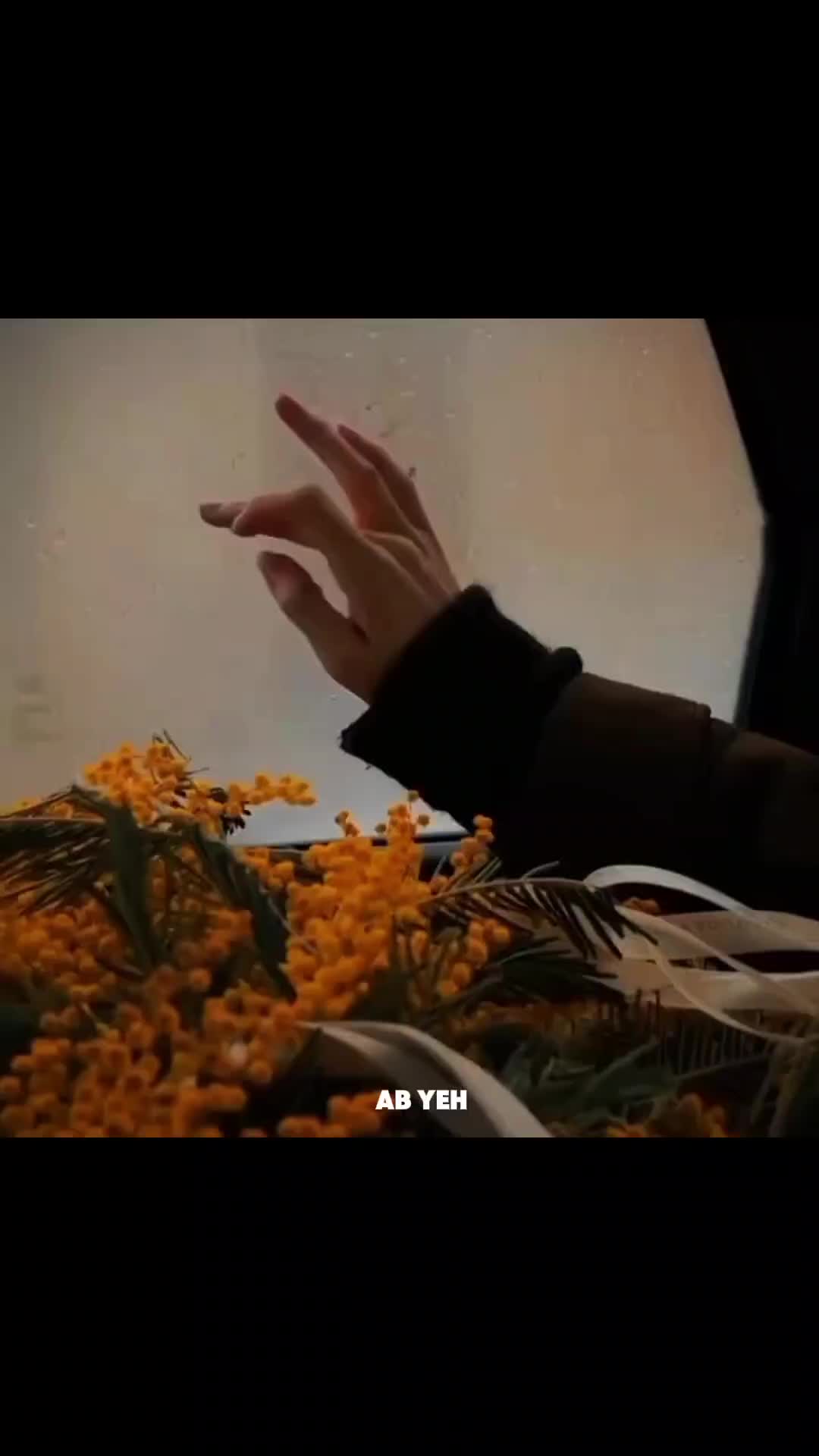@★彡[ᴠɪʙɪɴɢᴡɪᴛʜ_ᴡᴀꜱɪꜰꜱʜᴀʜᴢᴀᴅ]彡★