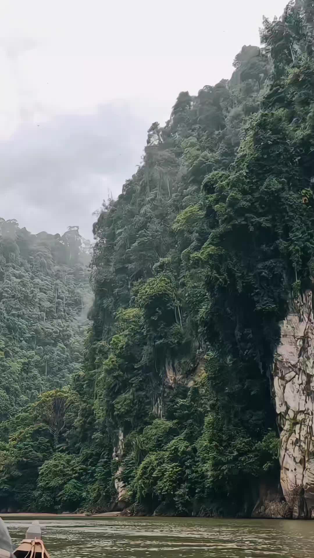 @frmnn_