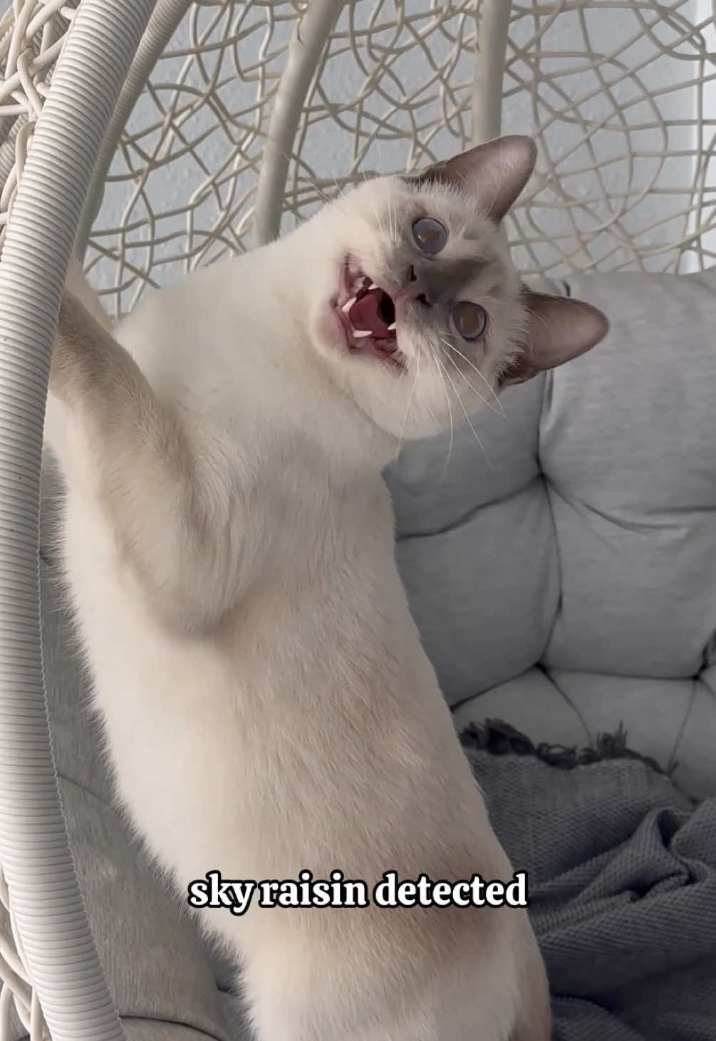 @ekekekkekkek
