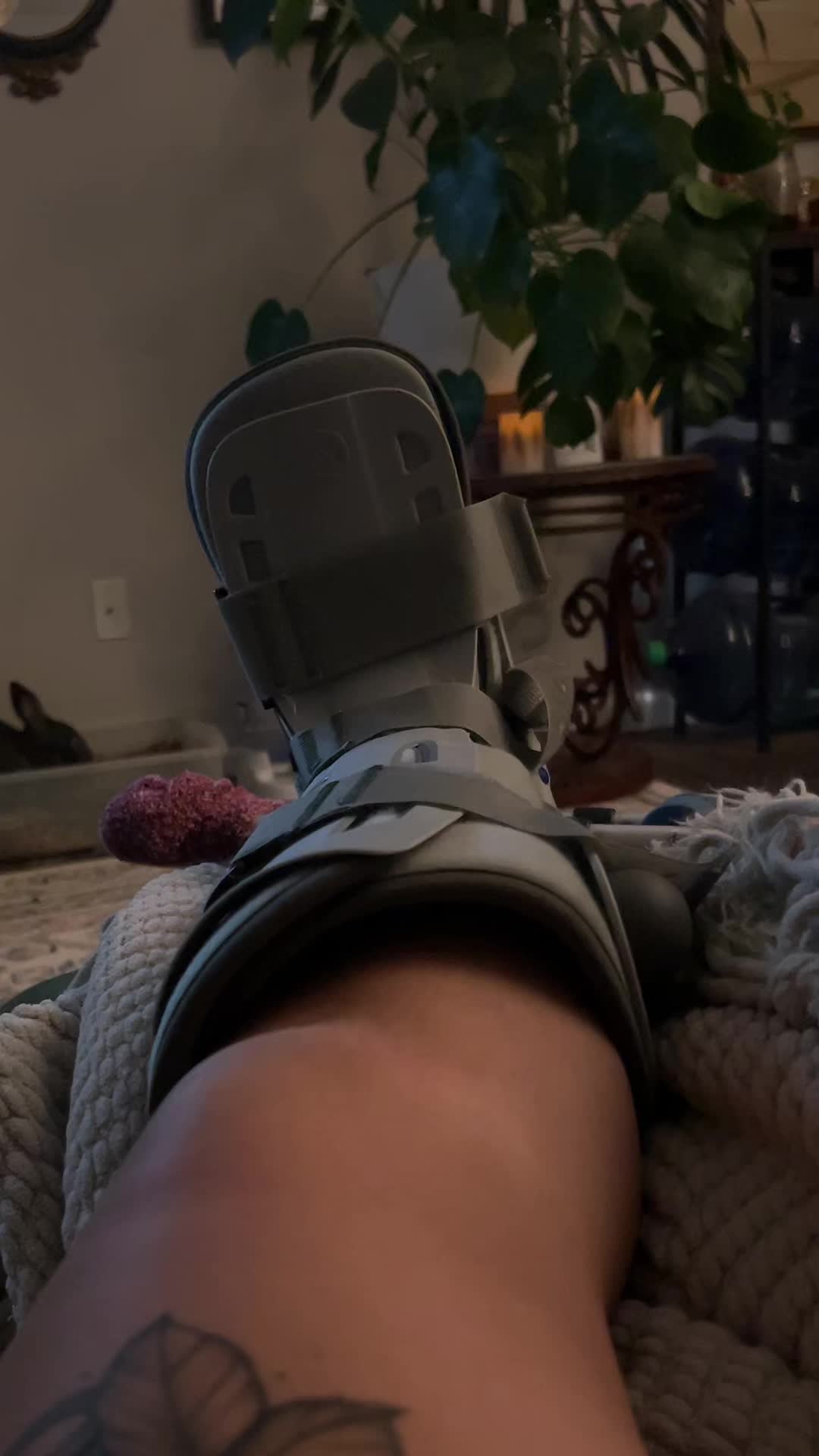 @meganishername