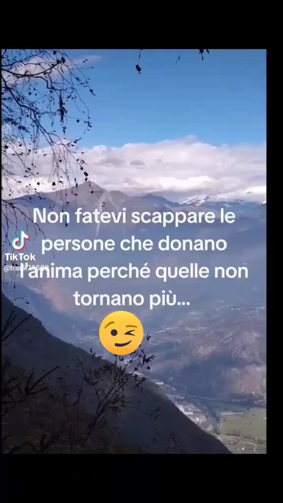 @vito il calabrese