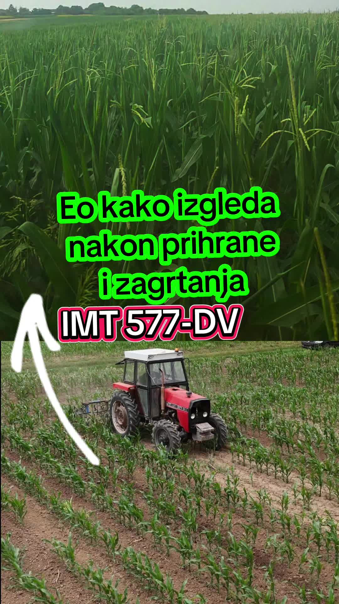 @Balkanac