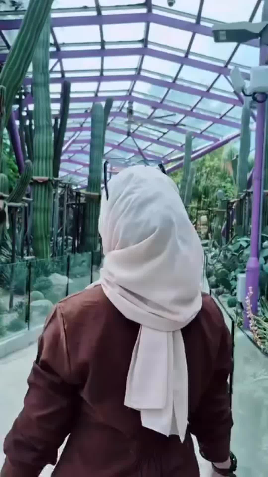 @luifa