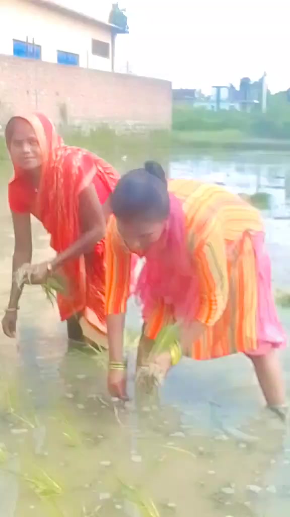 @Anita Gupta