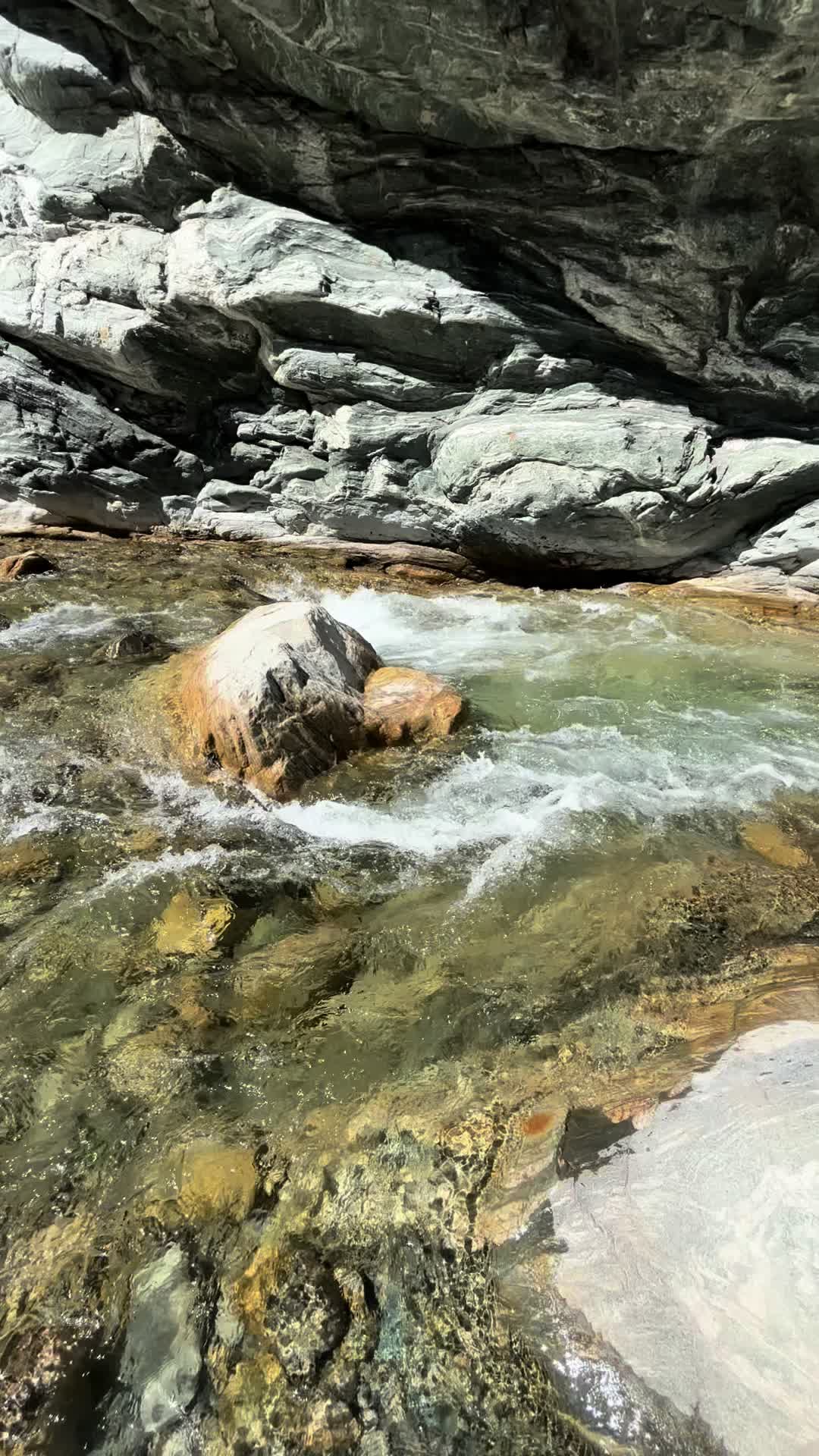 @The Whimsy Hiker 🧚&zwj;♀️