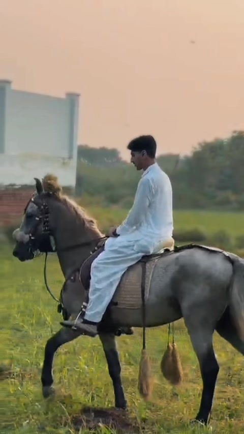 @Hashim Raza🇨🇦