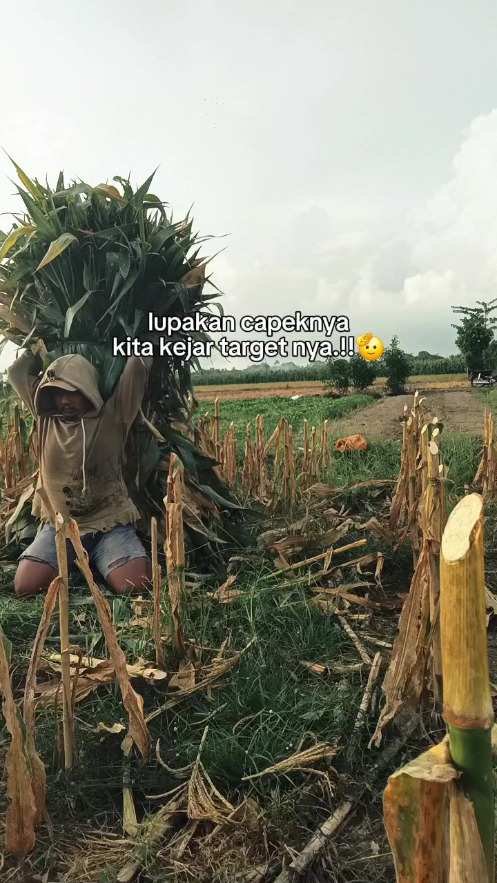 @【Aku Wongmu】