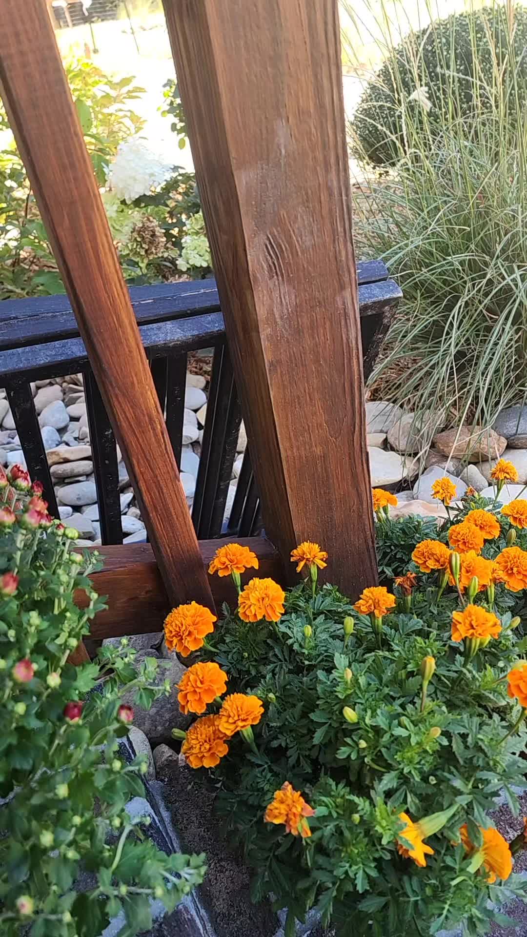 @Almost Perfect Acres