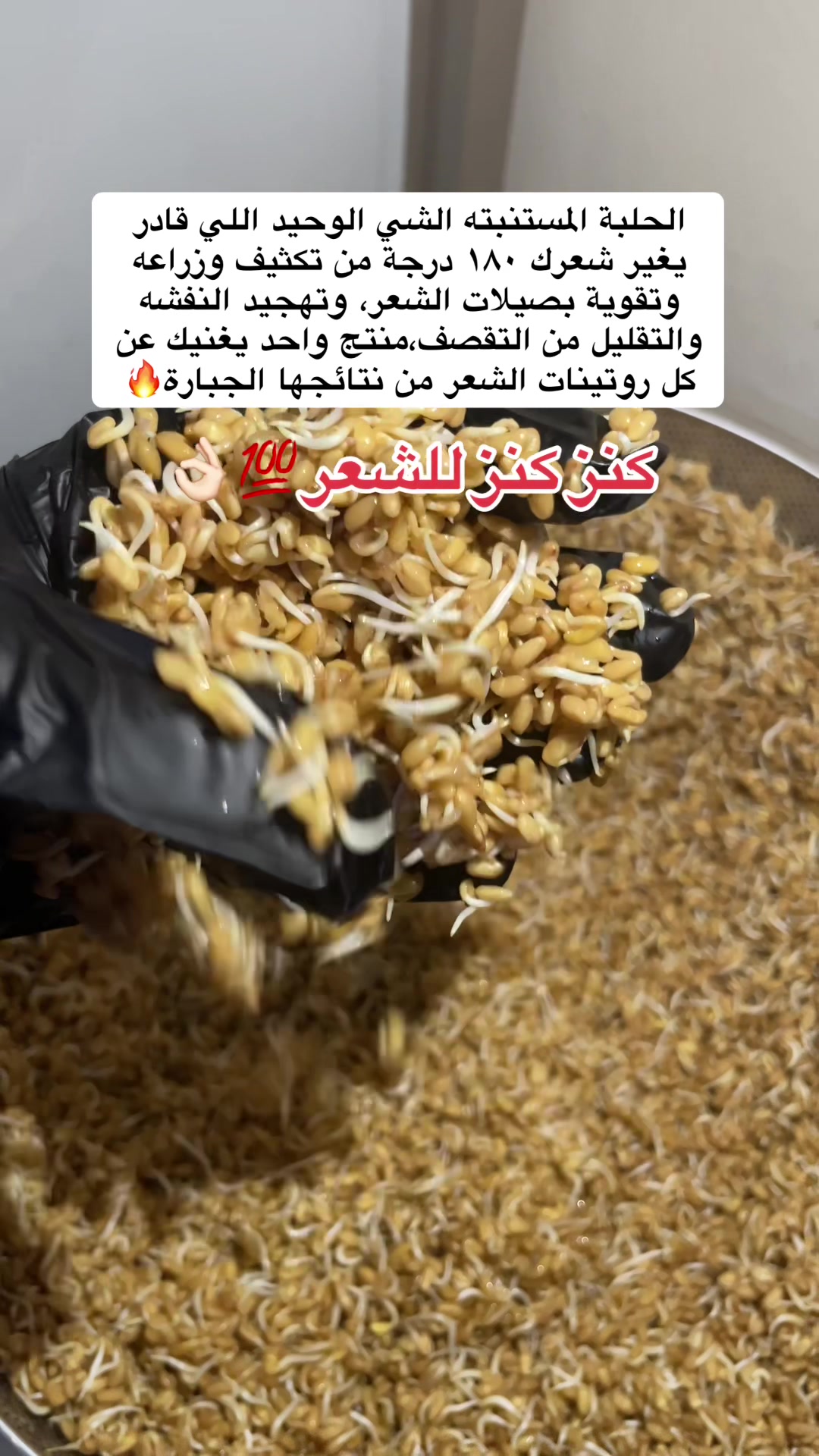 @رِقــة | RIQA