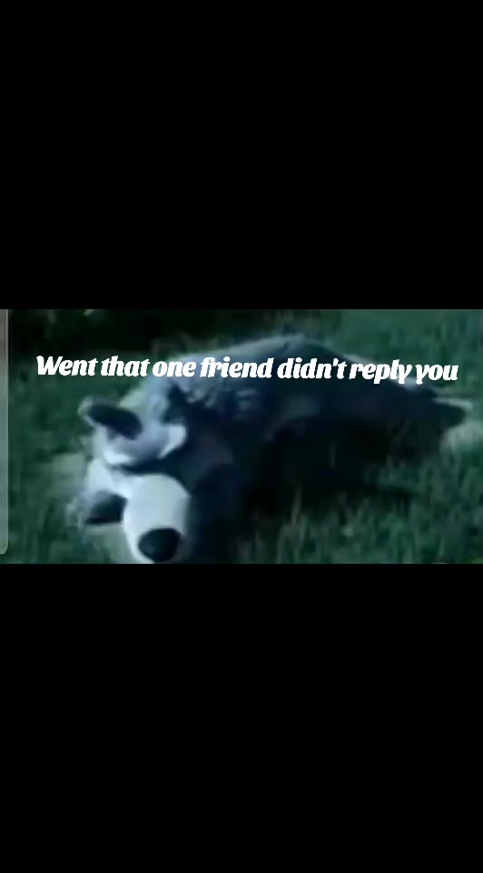@๏ธ