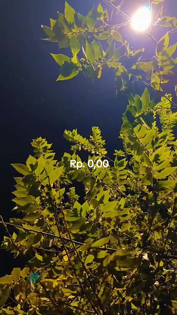 @miftah