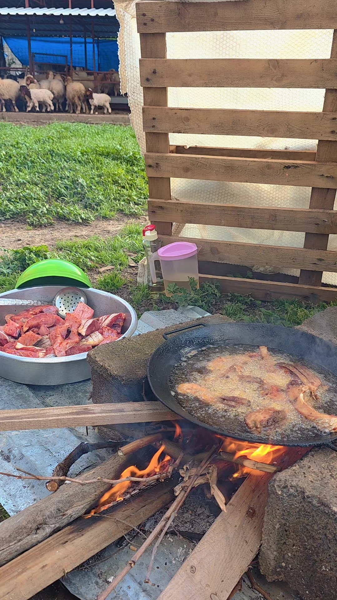@🔥Köylü Kızı🔥
