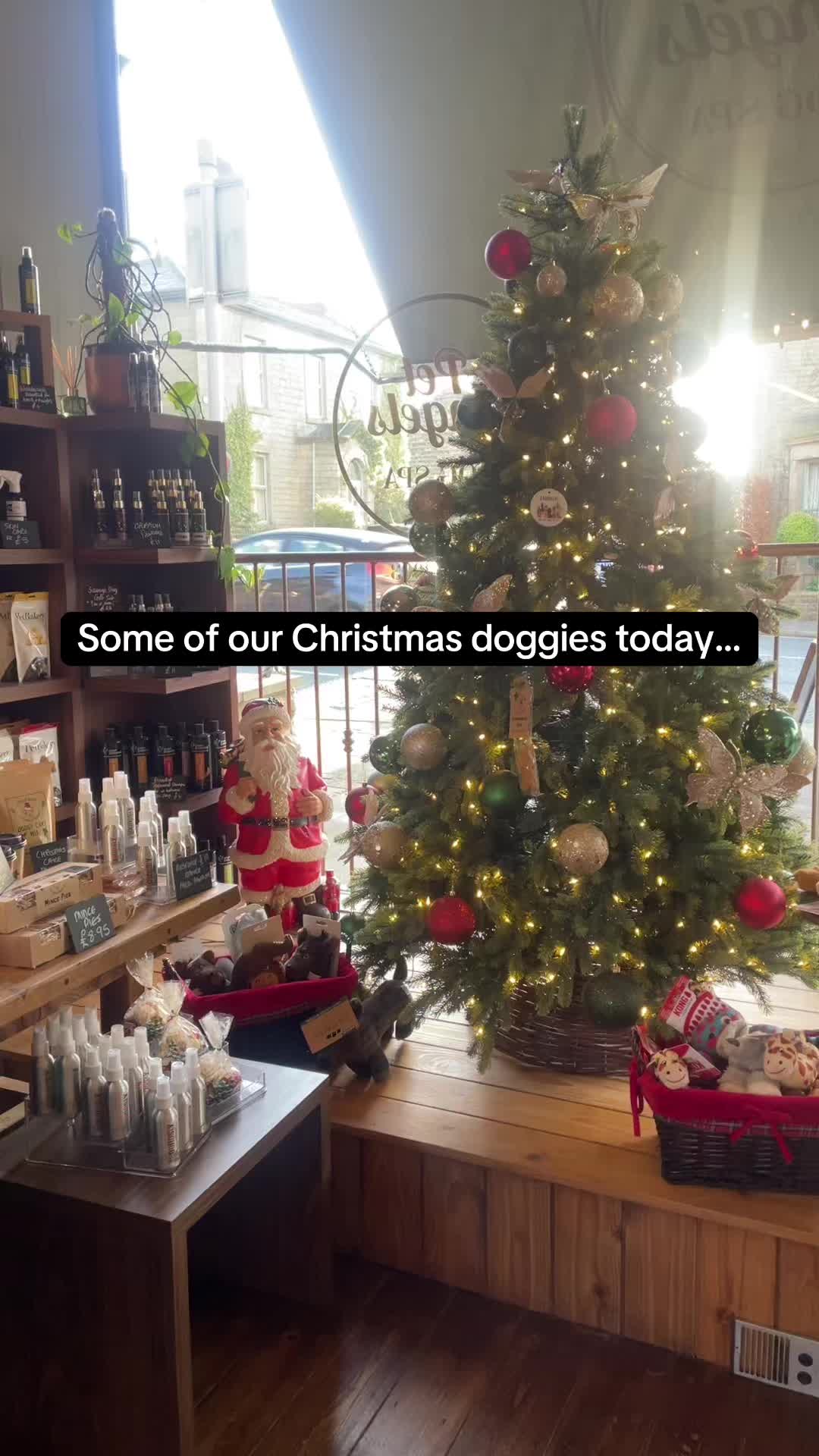 @Pet Angels