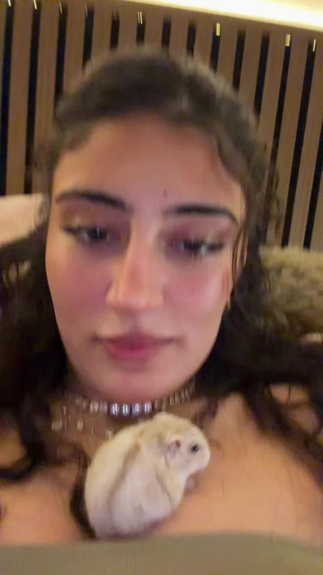 @yourcatwomanmil