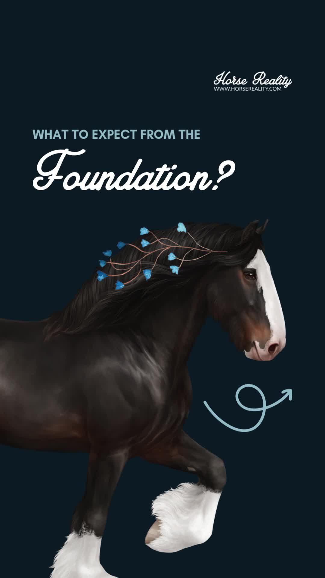 @Horse Reality