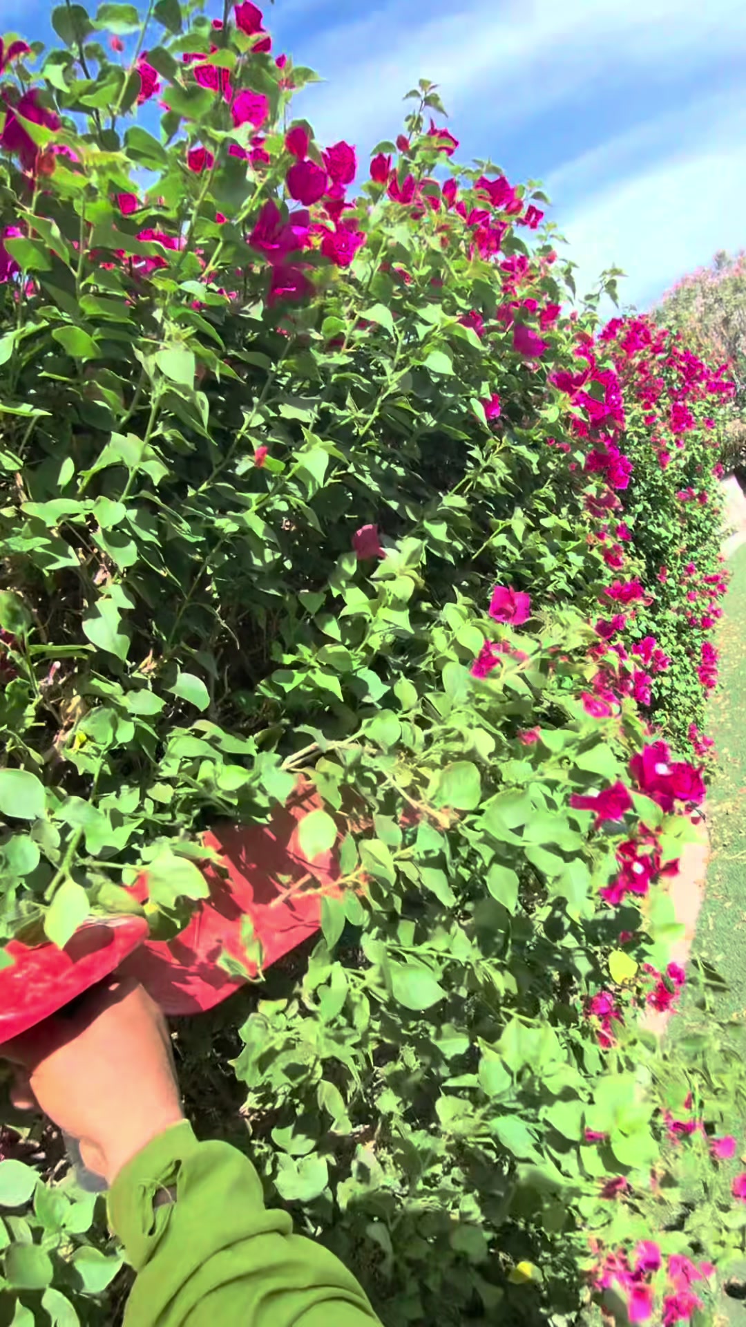 @landscaping