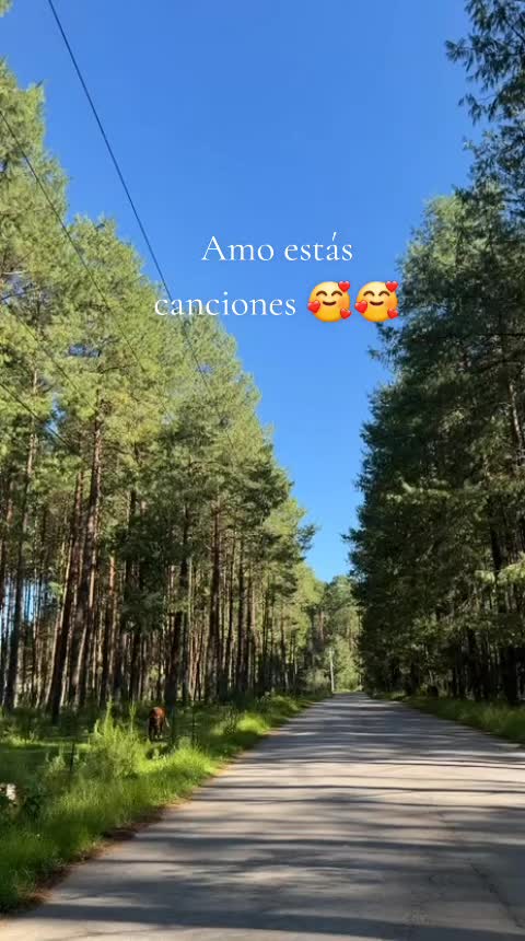 @Roxana Vera