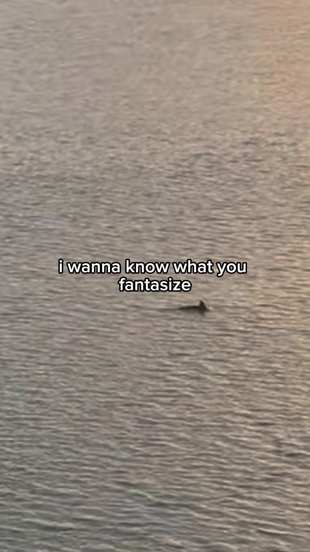 @PRODUCT