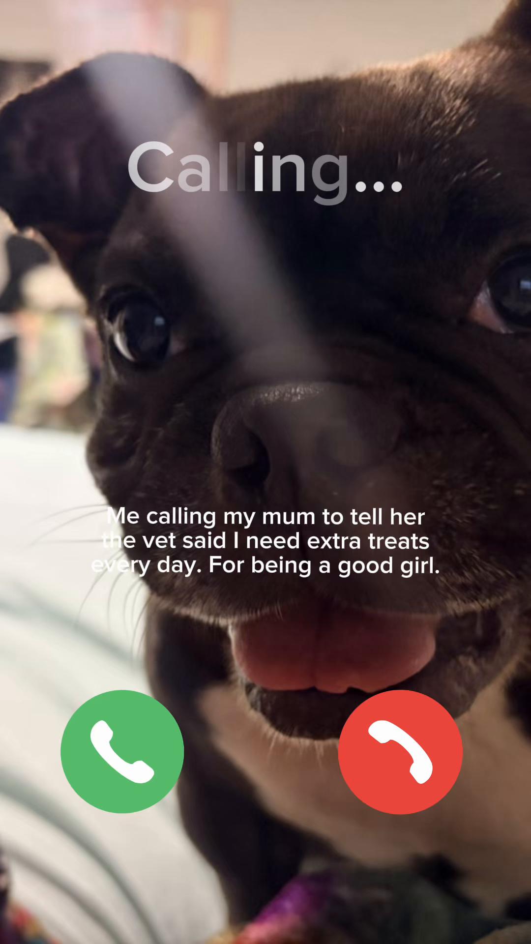 @Juniper & Mayble’s Gems