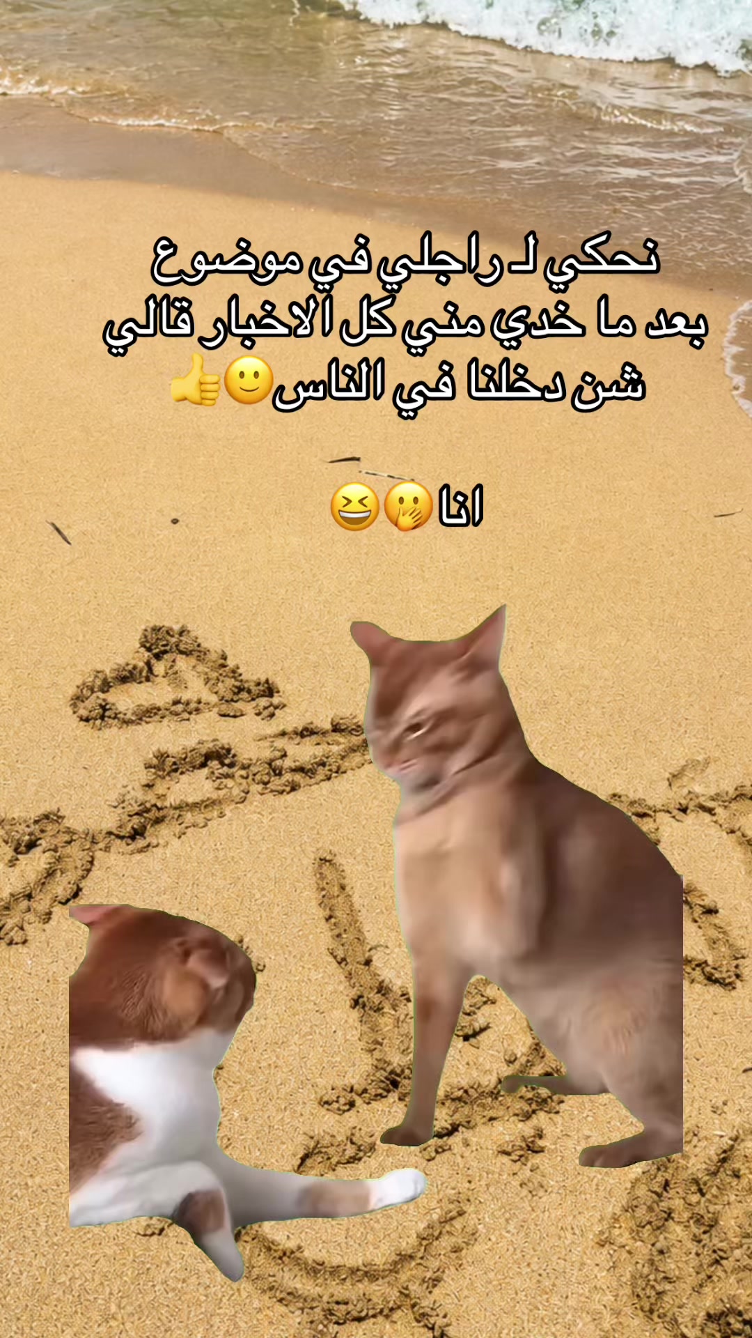 @Amwaj Bin Ashour