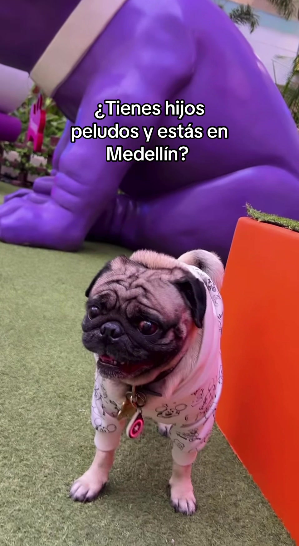 @julilove