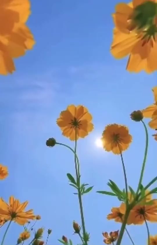 @EspacioDMT