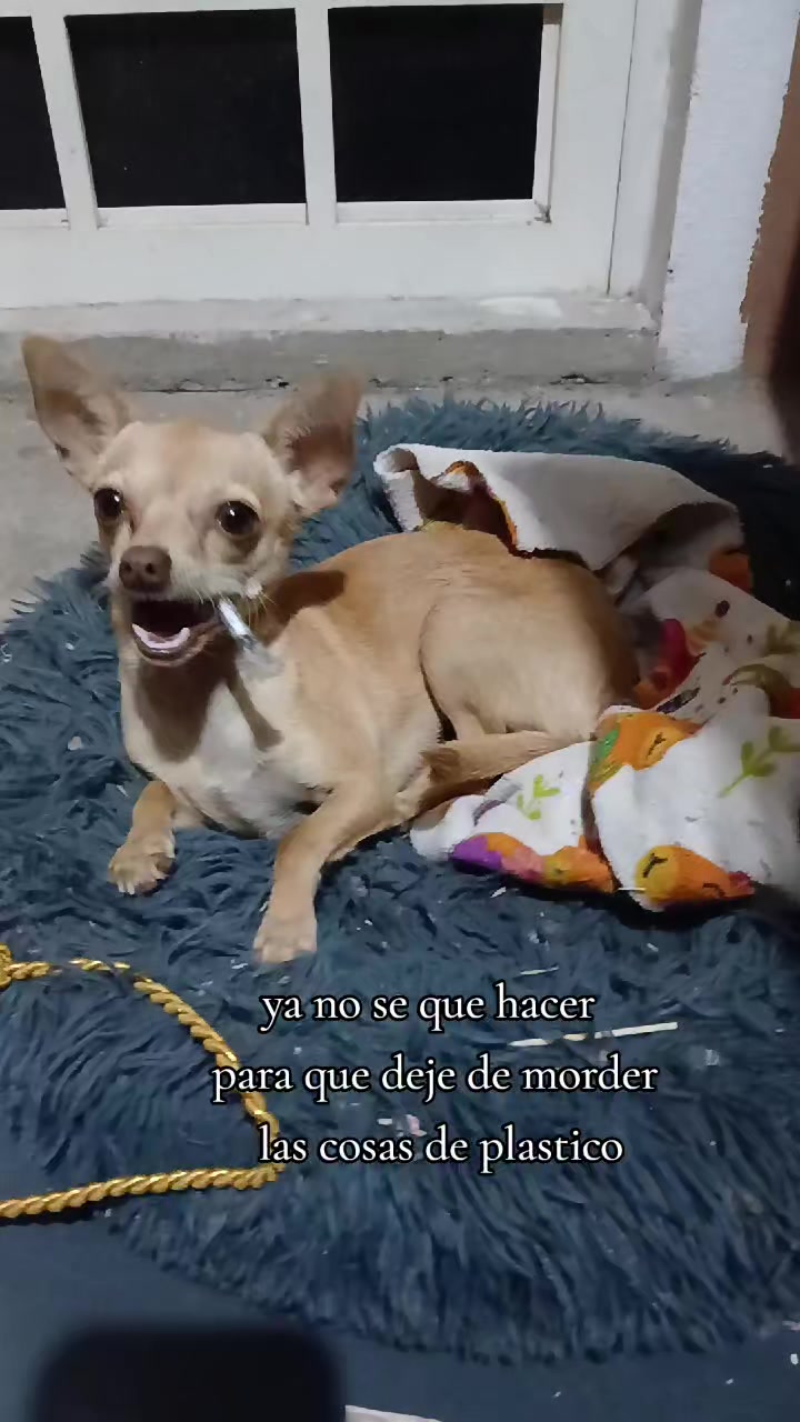 @MR