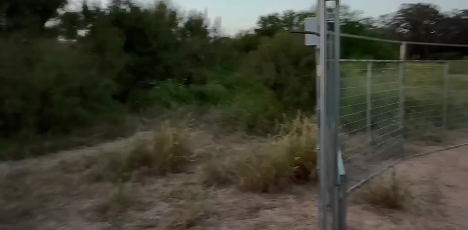 @Hog Brothers Custom Hog Traps