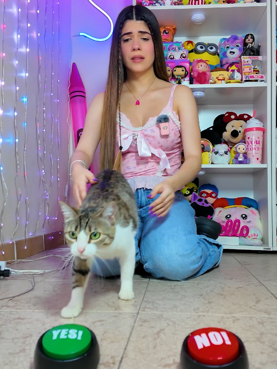 @Ani Cat