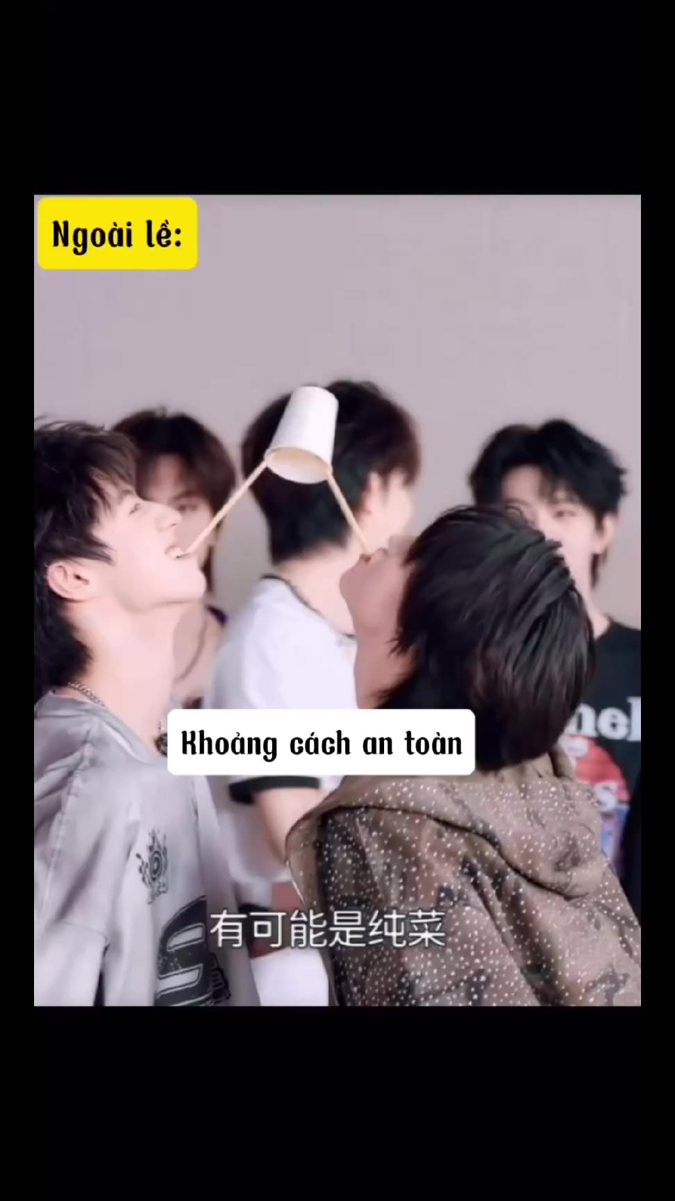 @💛ZhuZuoZZ - 鑫之左想💙
