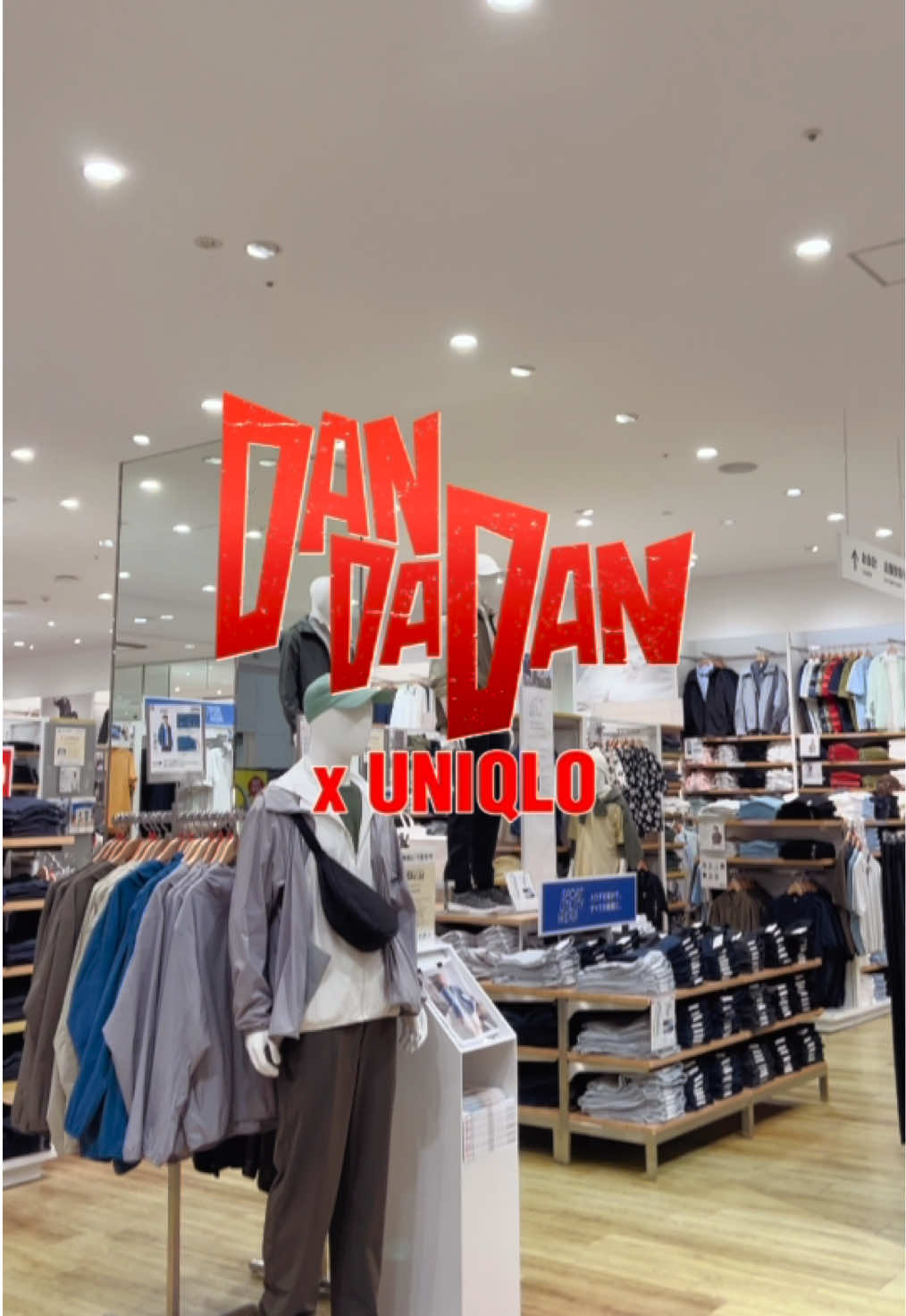 @MadamDang 𐙚₊˚⊹