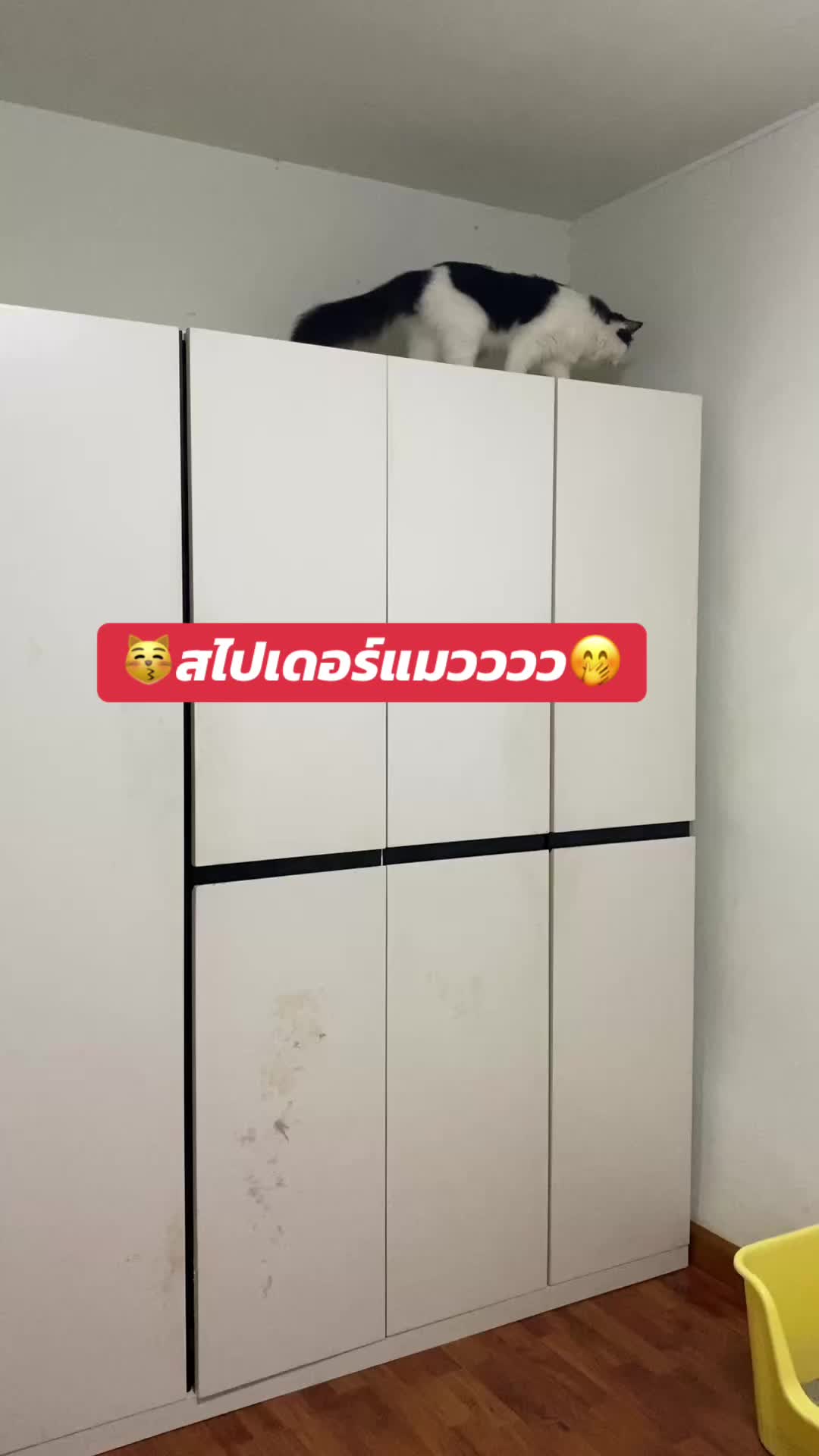 @luxsiriwan21