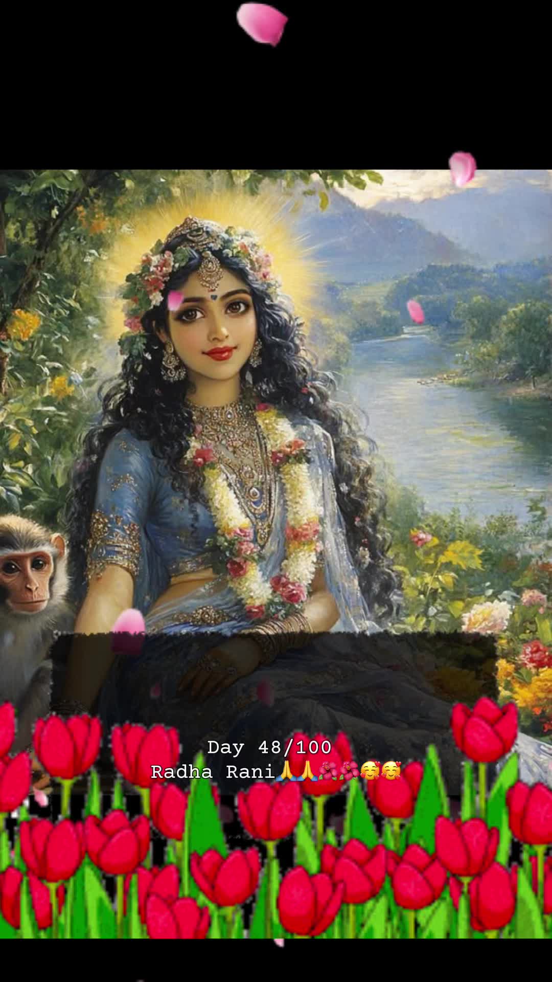 @RadheKrishna🦚🦚🙏🙏