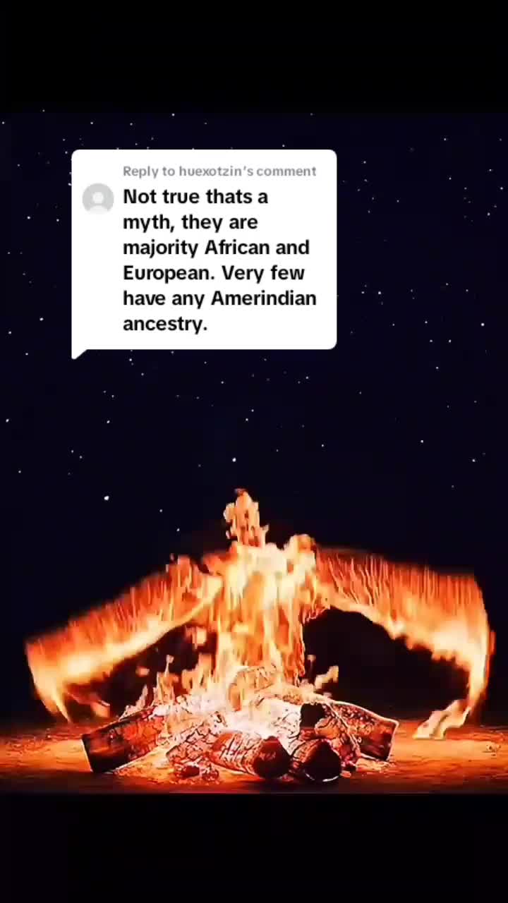@Viva Los Afro-Mexicanos