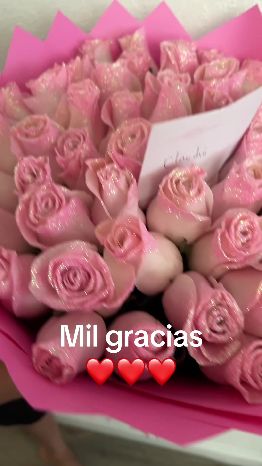 @Yazmin Santos