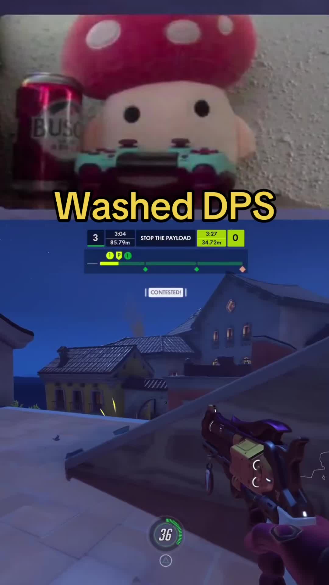 @drmushroom4