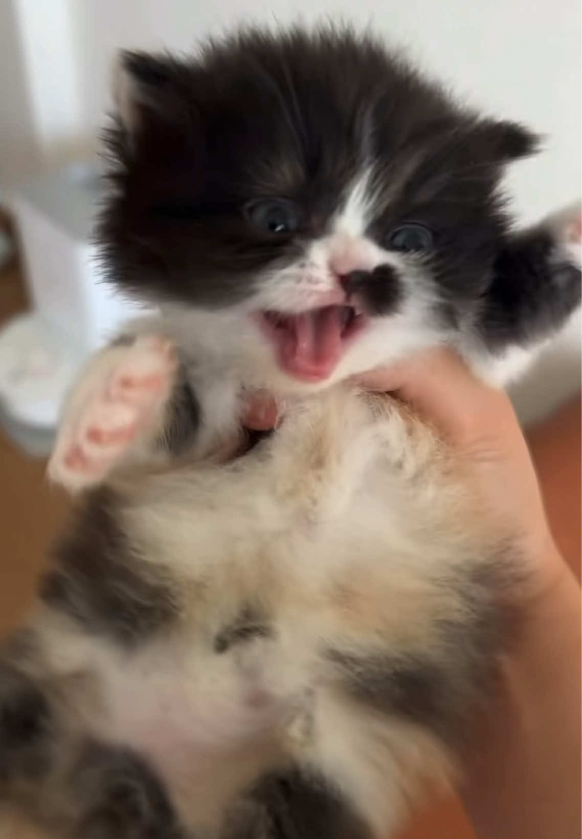 @ViralPick
