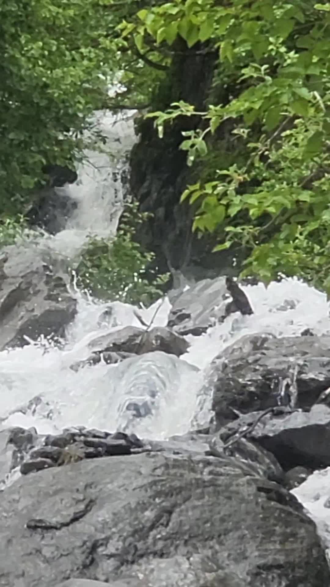 @Hello Alaska