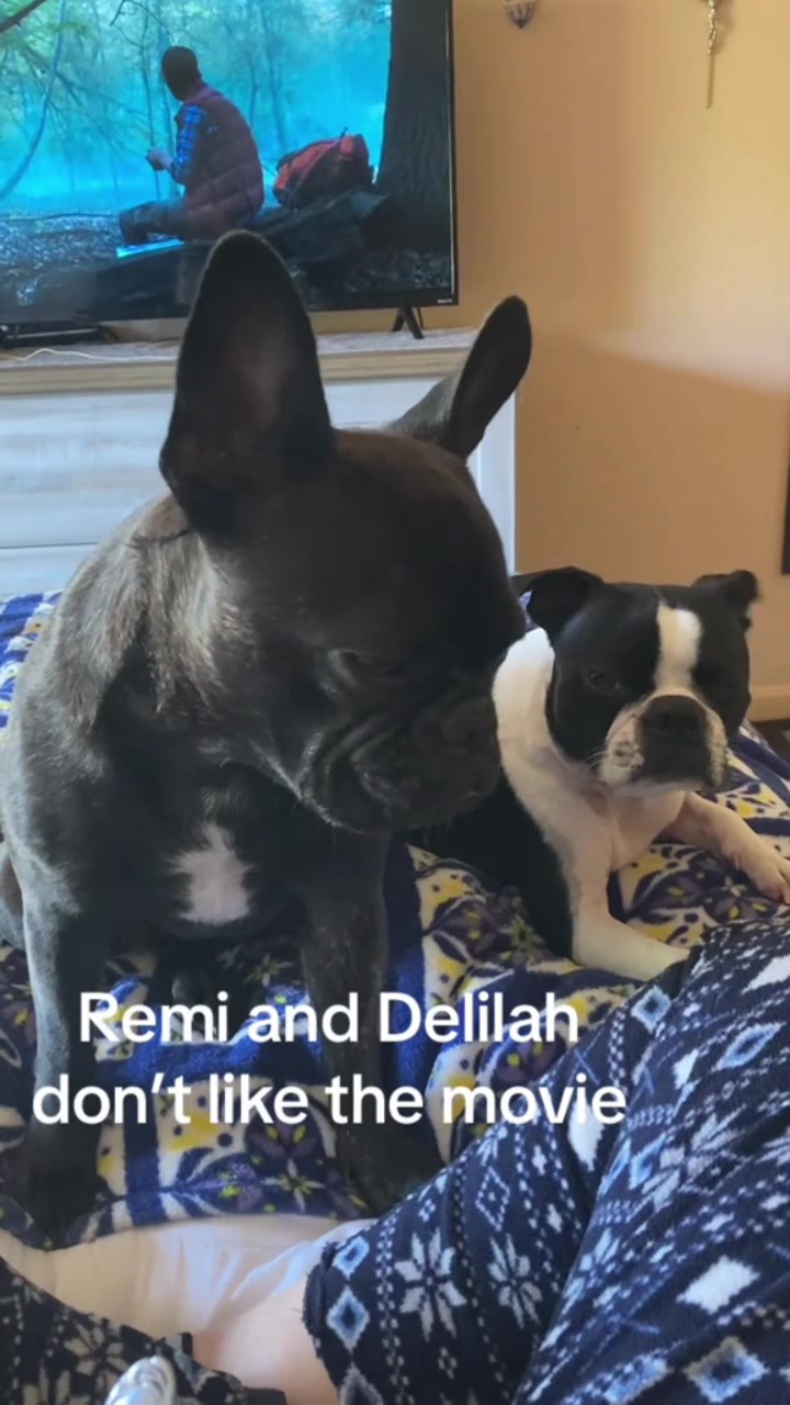 @Laurie&rsquo;s-remi&delilah