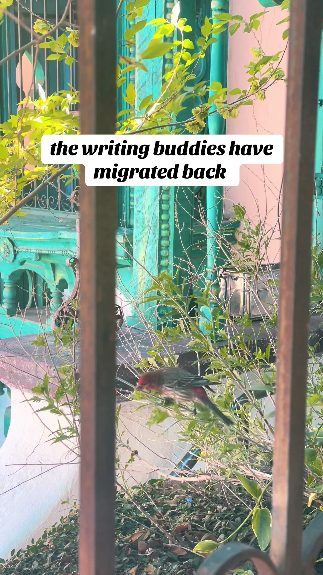 @Aleta Burchyski // Writer